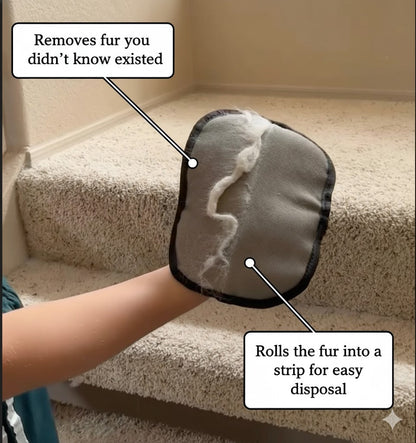 Lazy Lola™ Pet Fur Removal Glove