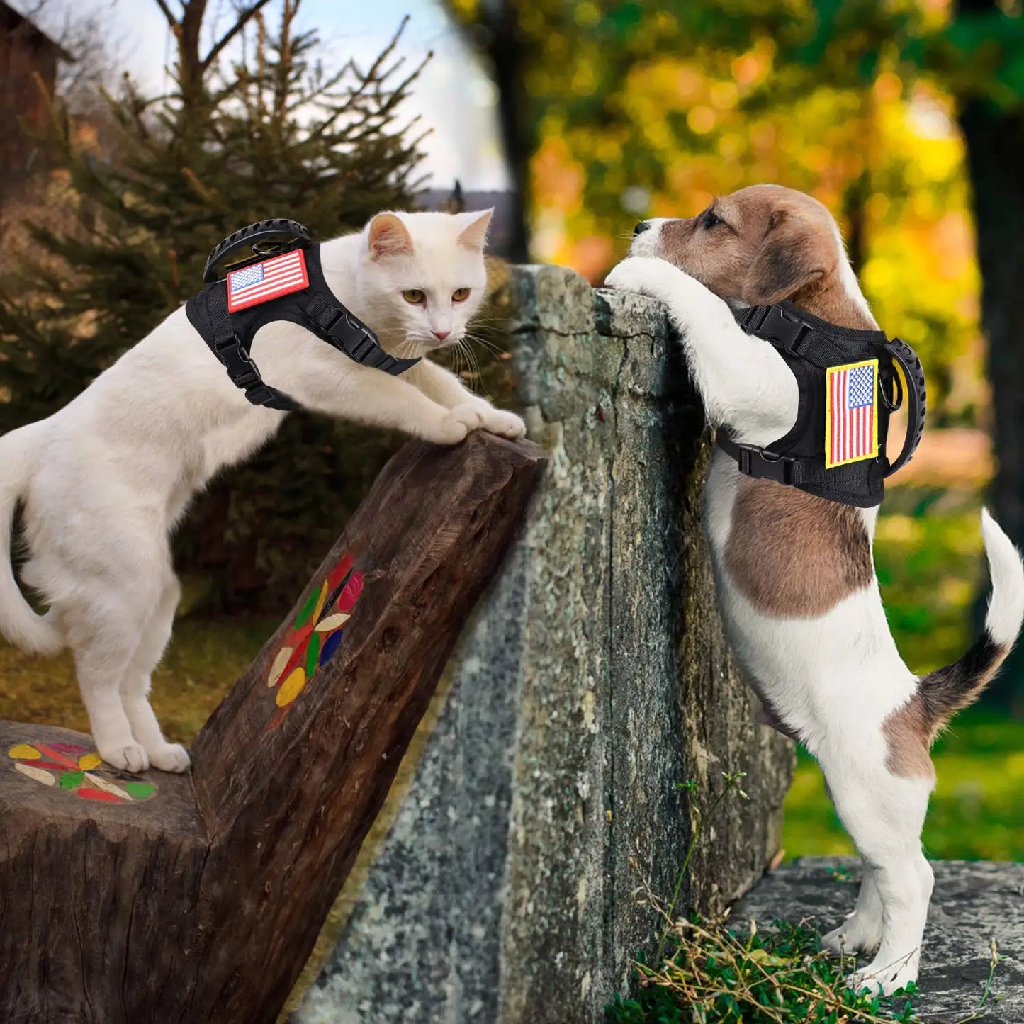 PawTactix: Tactical Harness & Leash Set for Pets